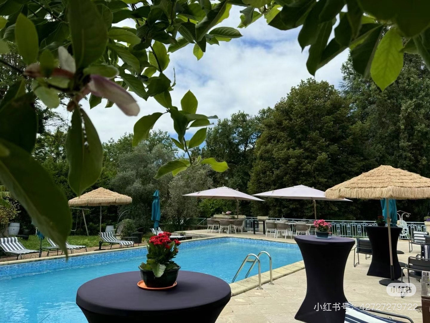 🍷 Dégustation de vins 🍷